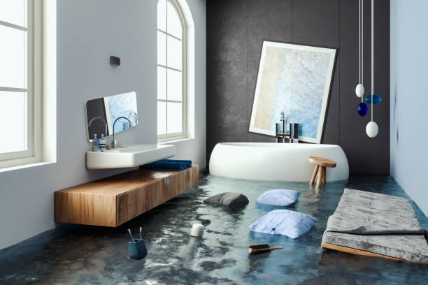 Best Water damage restoration services  in Hettinger, ND