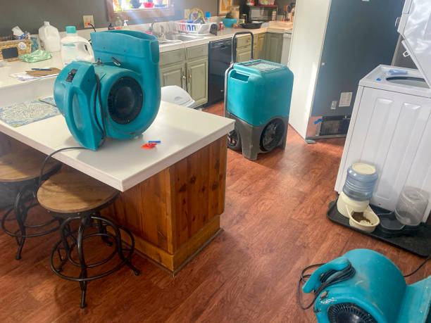 Best Water damage restoration near me  in Hettinger, ND