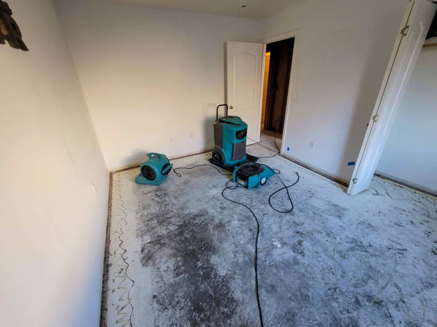 Best Flooded house restoration  in Hettinger, ND