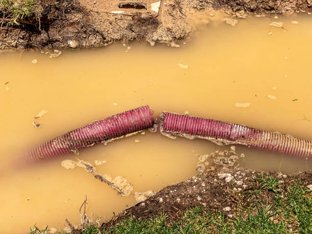 Best Basement water damage restoration  in Hettinger, ND